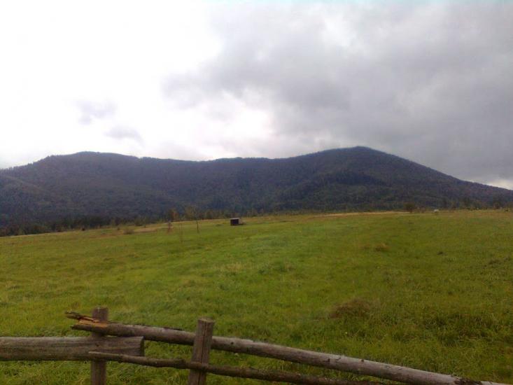 Пшеничники з panoramio.com - Пшеничники