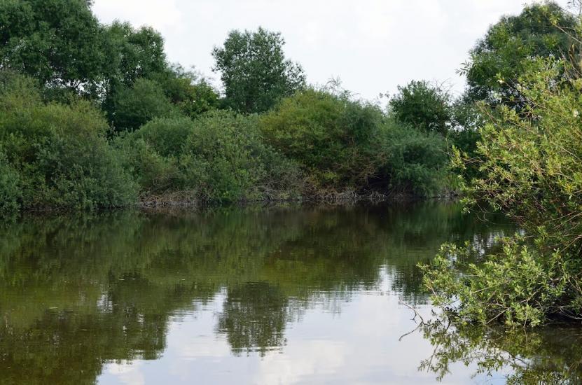 Біла з panoramio.com - Біла