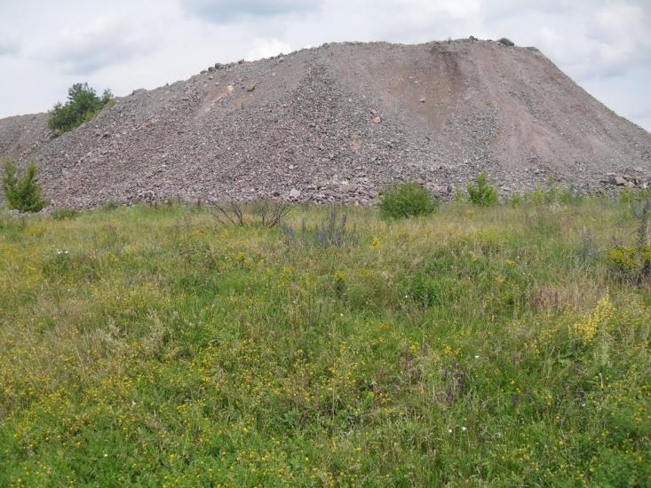 Первозванівка з panoramio.com - Первозванівка