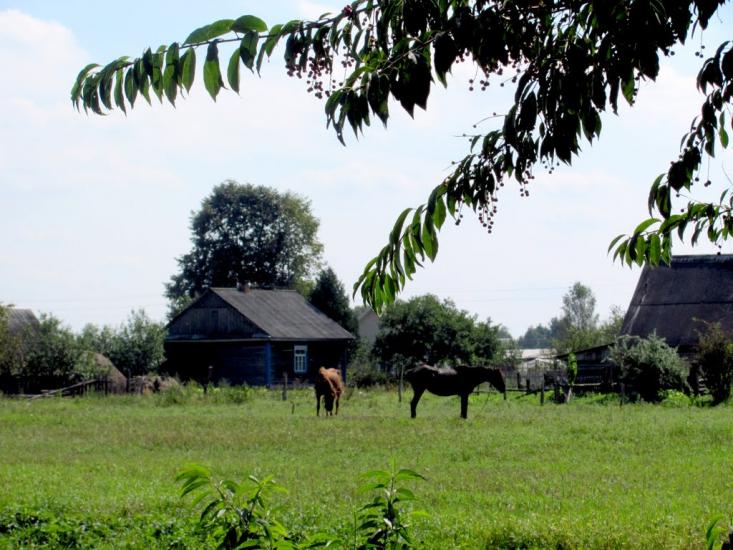 Луко з panoramio.com - Луко