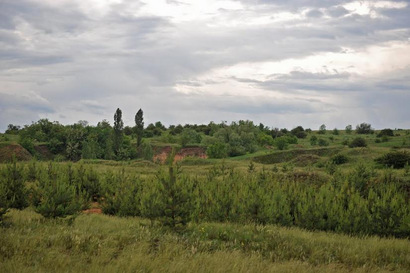Олександро-Калинове з panoramio.com - Oleksandro-Kalynove