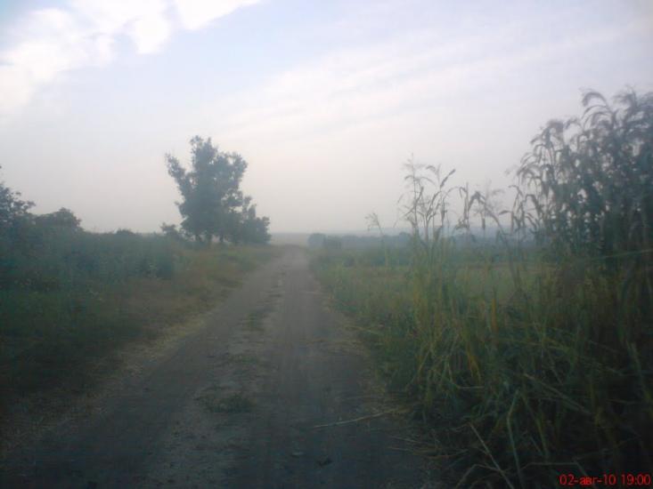 Чорна Кам'янка з panoramio.com - Черная Каменка