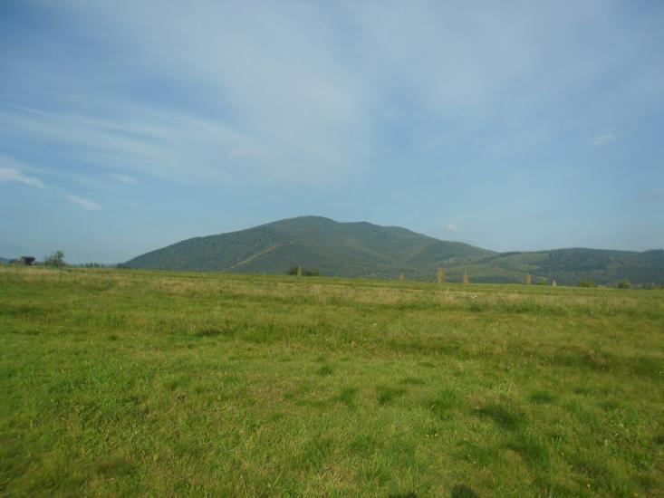 Пшеничники з panoramio.com - Пшеничники