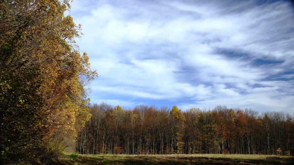 Борщівка з panoramio.com - Borschivka