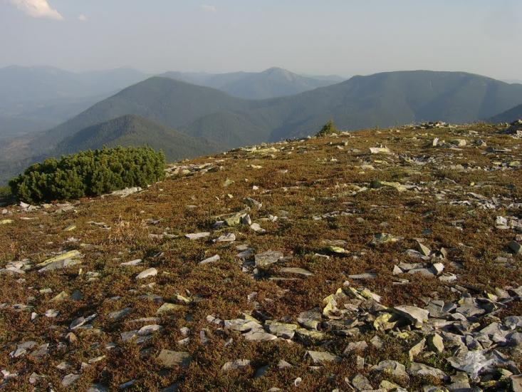 Мислівка з panoramio.com - Мислівка