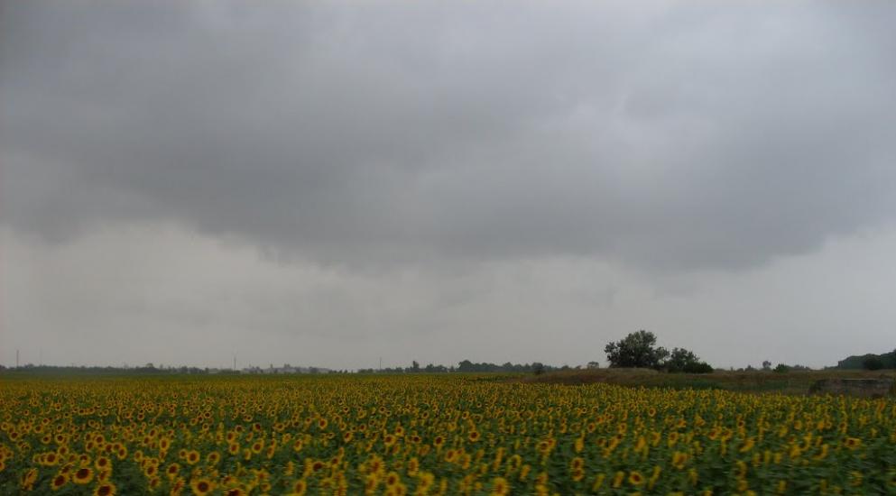 Дальник з panoramio.com - Дальник