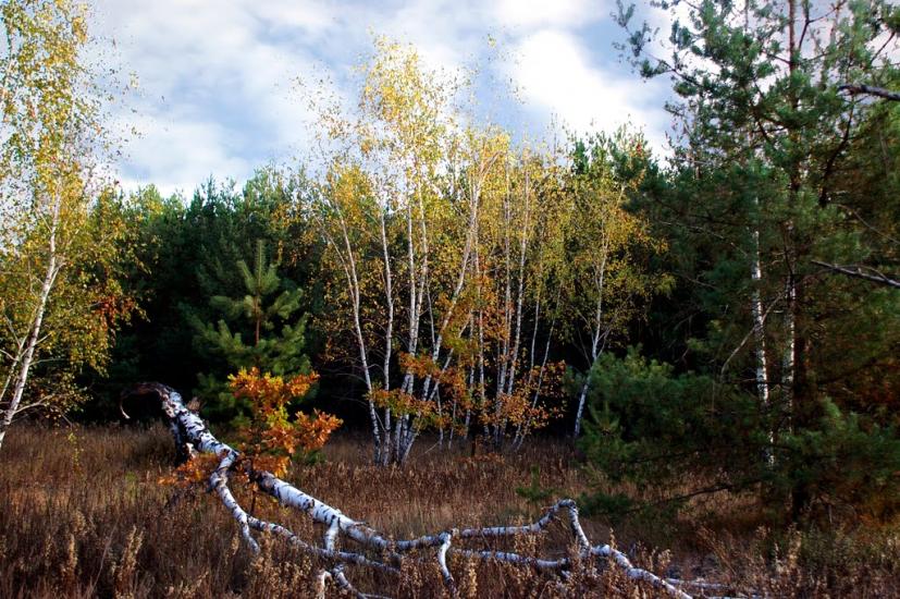 Пологи-Низ з panoramio.com - Пологи-Низ