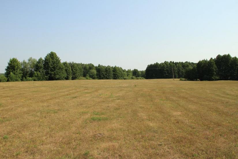 Деркачівка з panoramio.com - Деркачівка