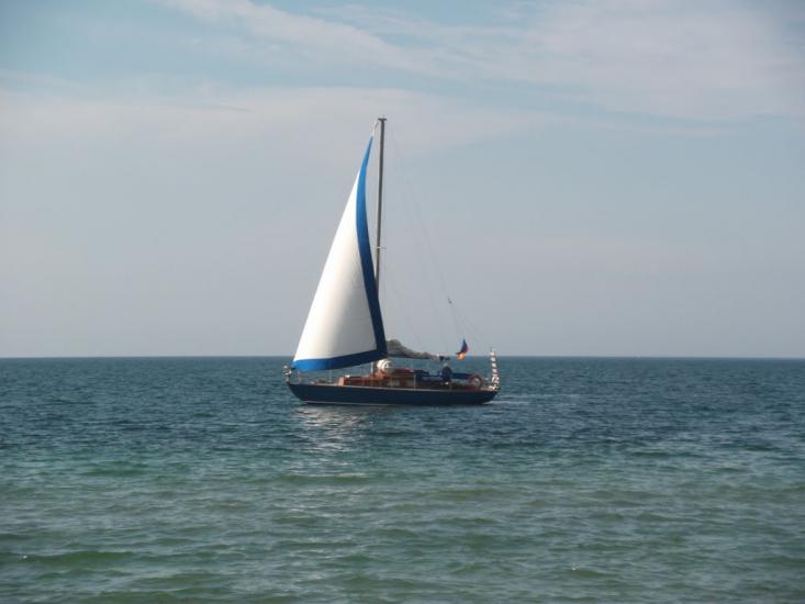 Сніжне з panoramio.com - Снежное