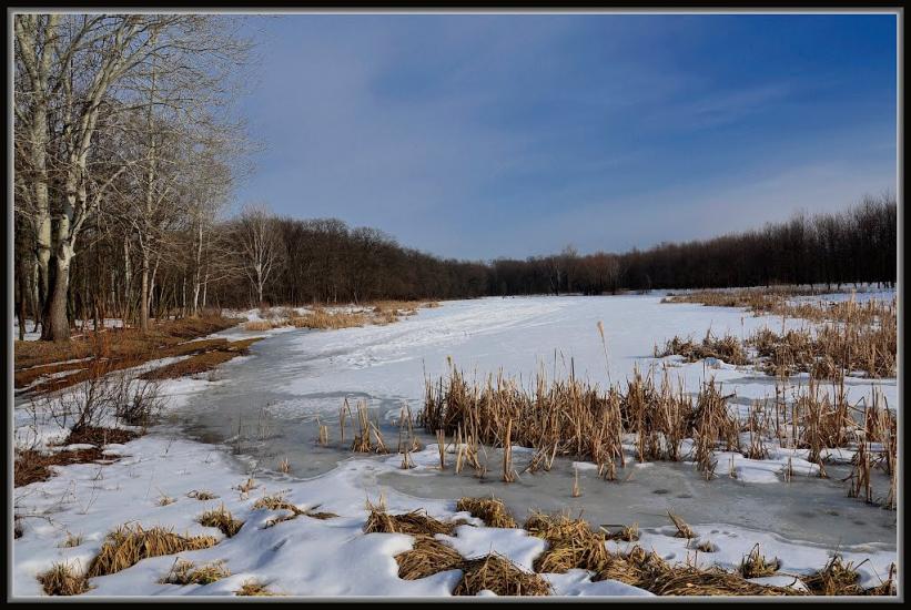 Привілля з panoramio.com - Pryvillya