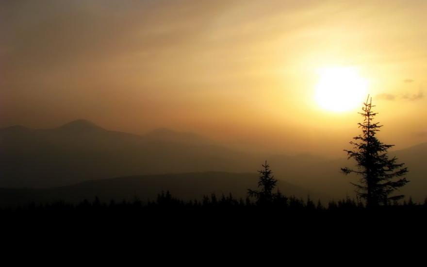 Кривопілля з panoramio.com - Kryvopillya