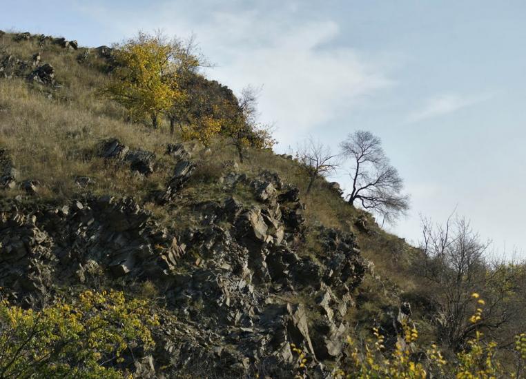 Черемшине з panoramio.com - Черемшине