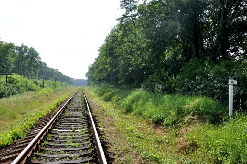 Золоте з panoramio.com - Золотое