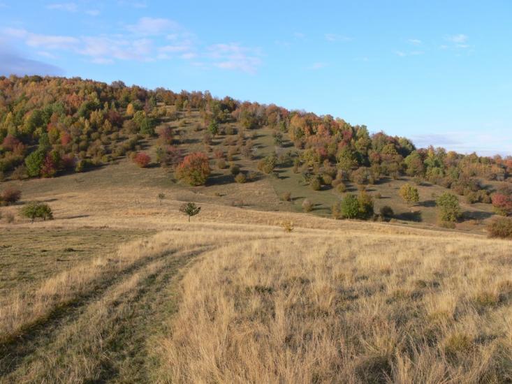 Бедевля з panoramio.com - Bedevlya