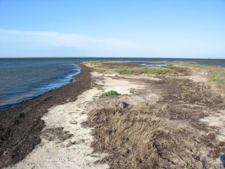 Хорли з panoramio.com - Хорли