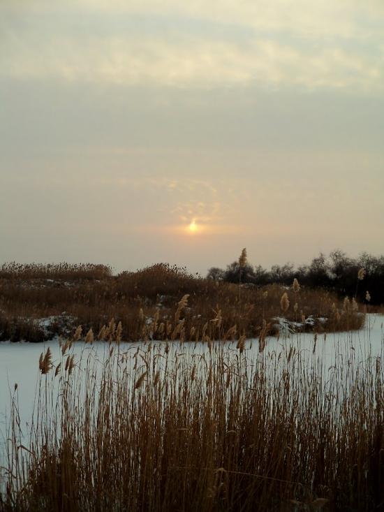 Новоселівка з panoramio.com - Новоселівка