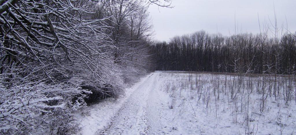 Нова Березівка з panoramio.com - Нова Березівка