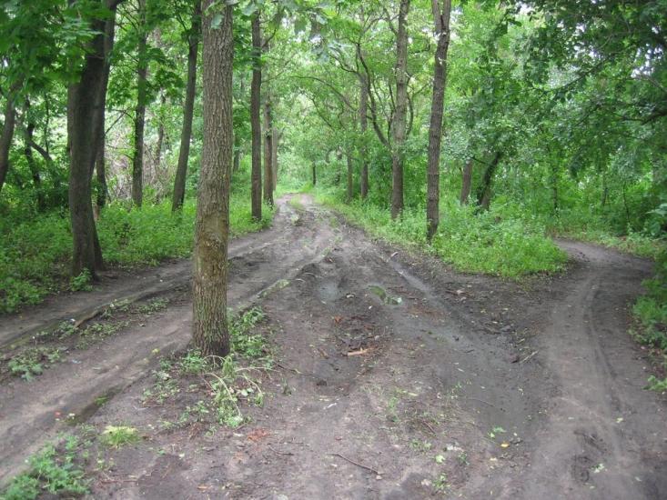 Машівка з panoramio.com - Машевка