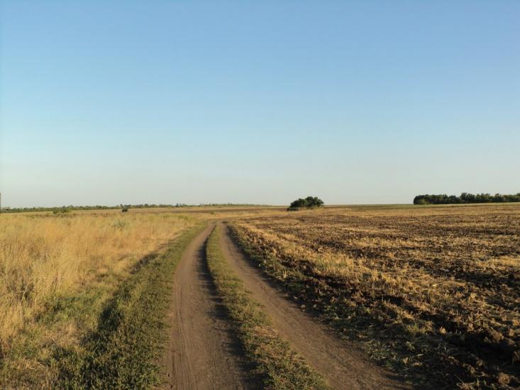 Новгородське з panoramio.com - Новгородське