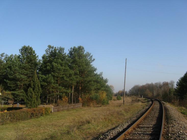 Заріччя з panoramio.com - Заріччя