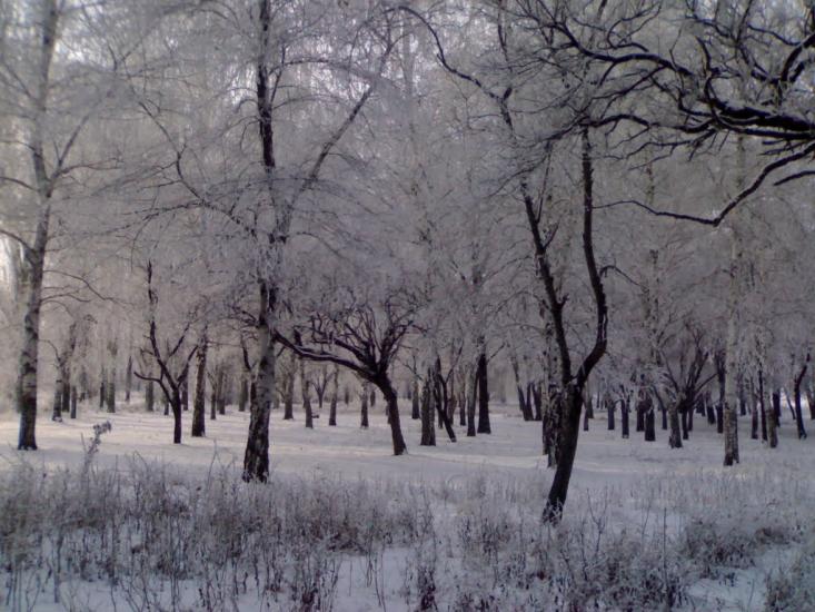 Луганське з panoramio.com - Луганське