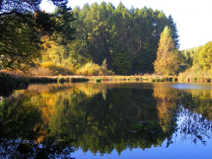 Піщатинці з panoramio.com - Пищатинцы