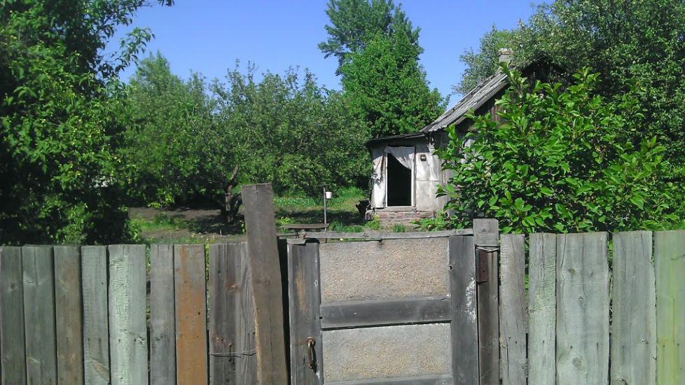 Золоте з panoramio.com - Золотое