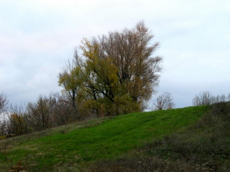 Гриценкове з panoramio.com - Гриценково