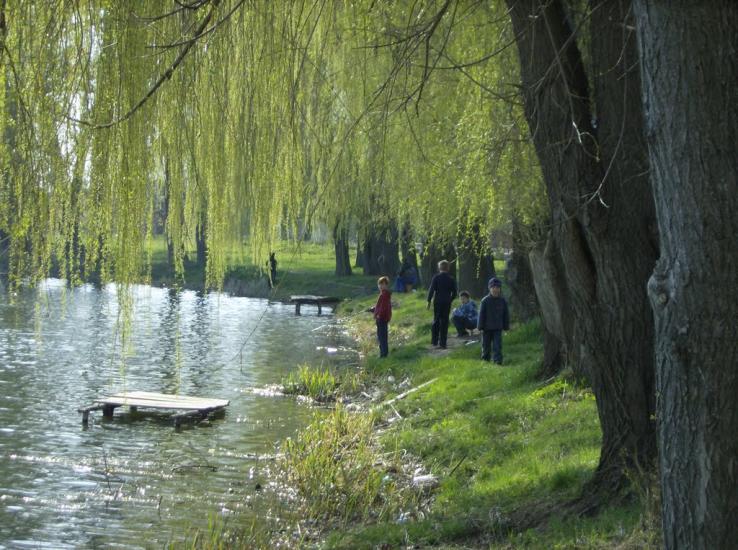 Андріяшівка з panoramio.com - Андріяшівка