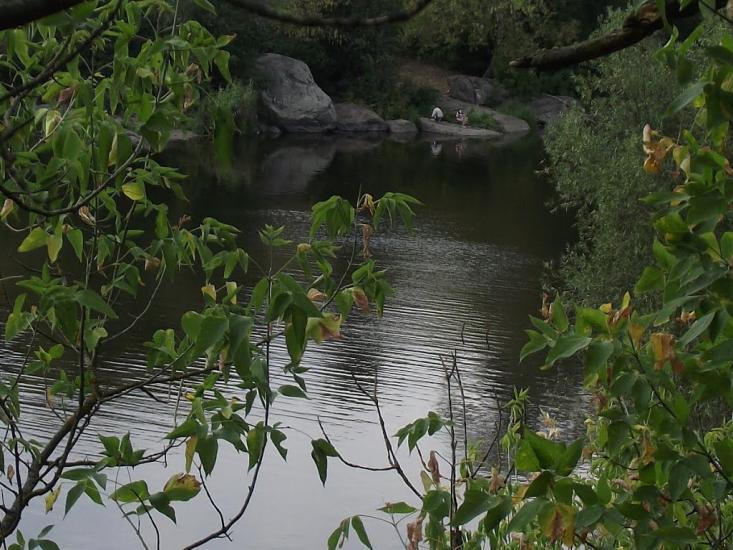 Городище-Пустоварівське з panoramio.com - Городище-Пустоваровское