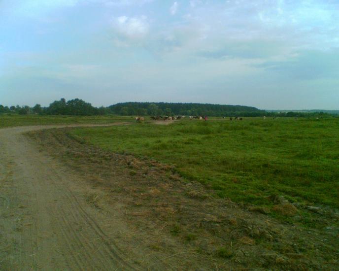 Любитове з panoramio.com - Любитове