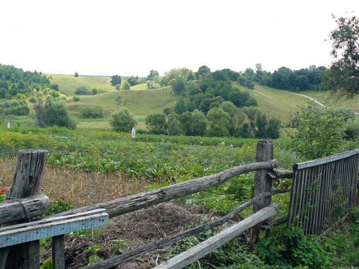 Сніжки з panoramio.com - Сніжки