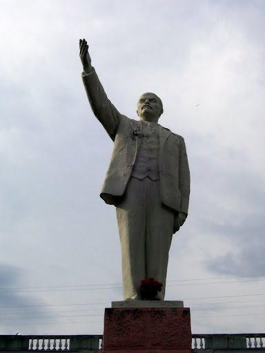 Покотилівка з panoramio.com - Покотилівка