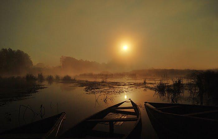 Синичине з panoramio.com - Синичине