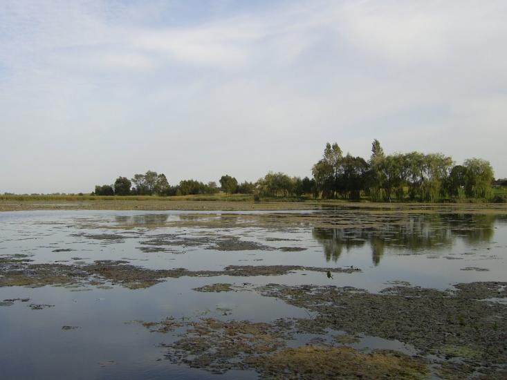 Радивилів з panoramio.com - Радивилов