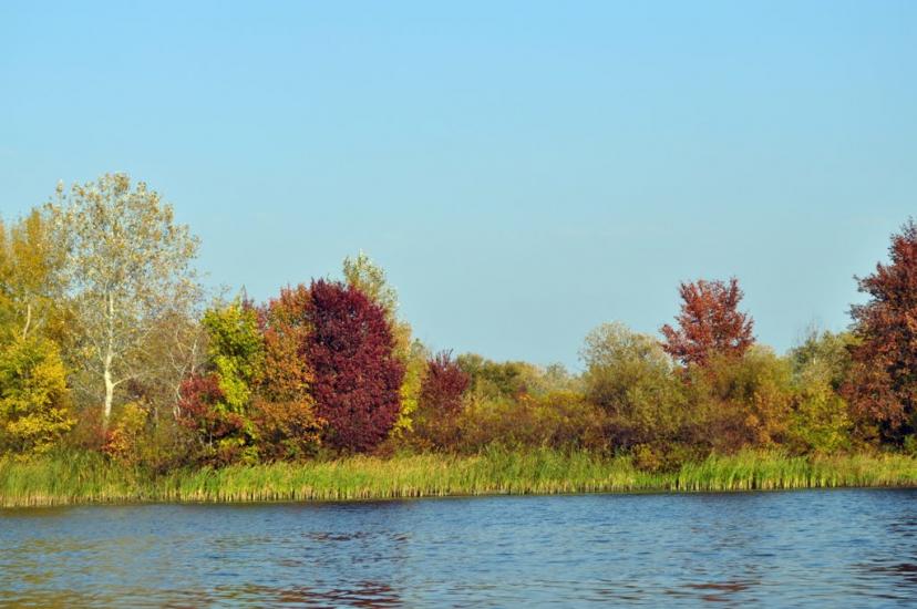 Садки з panoramio.com - Садки