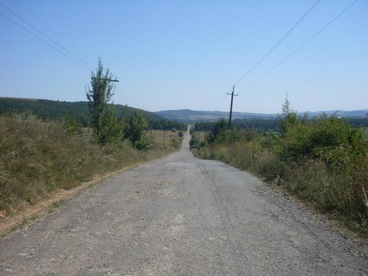 Тростянці з panoramio.com - Тростянцы