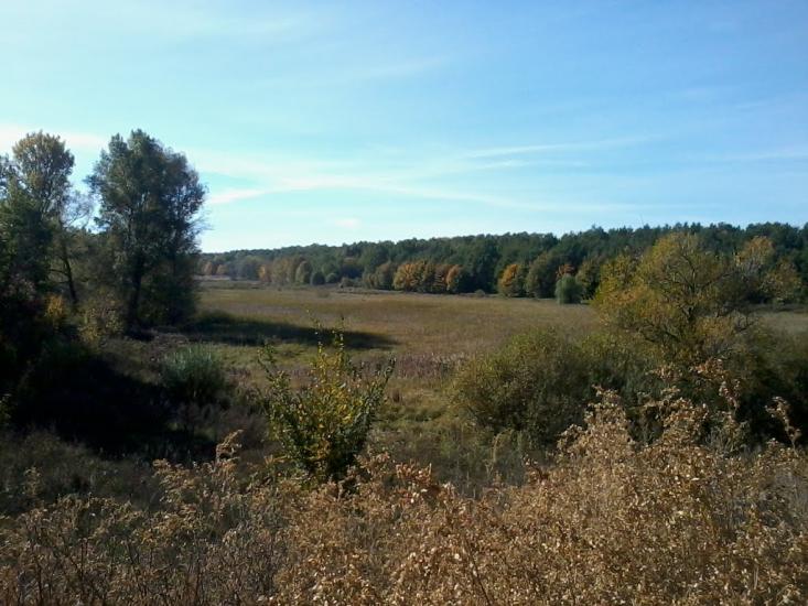 Водяне з panoramio.com - Водяне