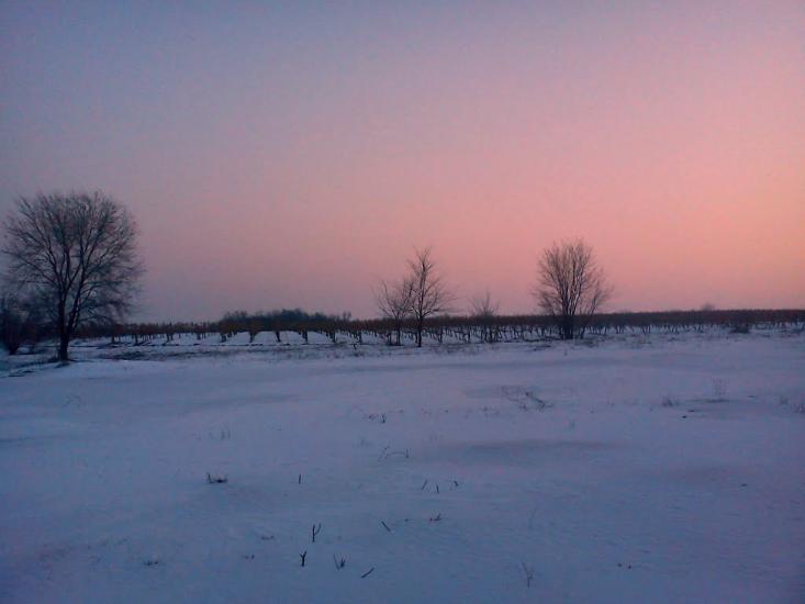 Суворове з panoramio.com - Suvorove