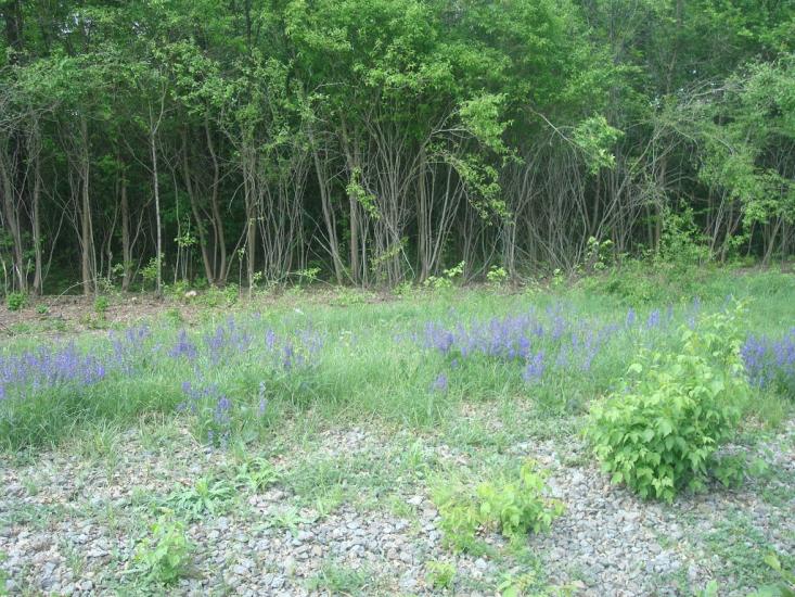 Рудка з panoramio.com - Рудка