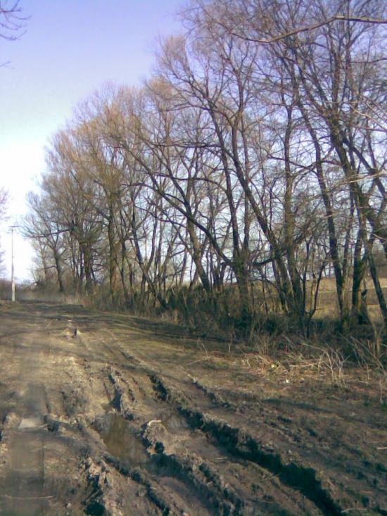 Раціборівка з panoramio.com - Рациборовка