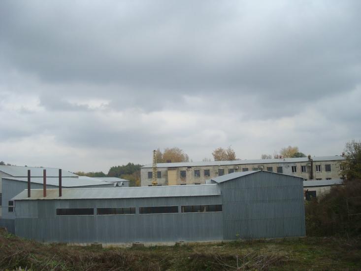 Вільхівчик з panoramio.com - Вільхівчик