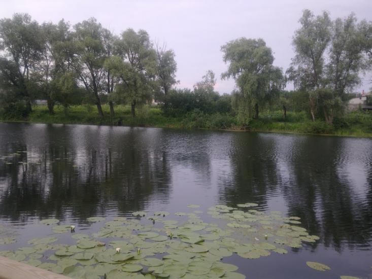 Зазим'я з panoramio.com - Зазим'я