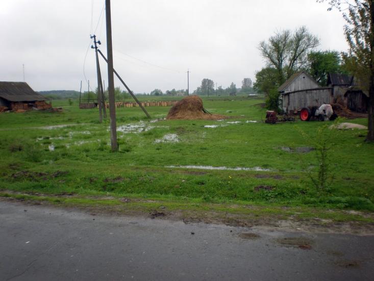 Облапи з panoramio.com - Oblapy
