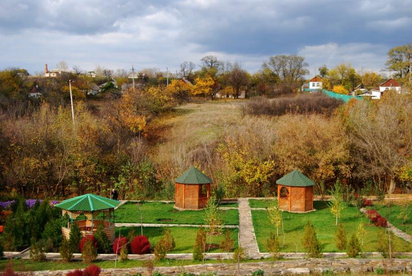 Сніжне з panoramio.com - Snizhne