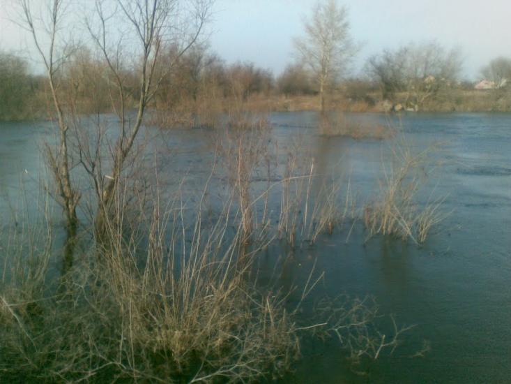 Єлизаветівка з panoramio.com - Елизаветовка