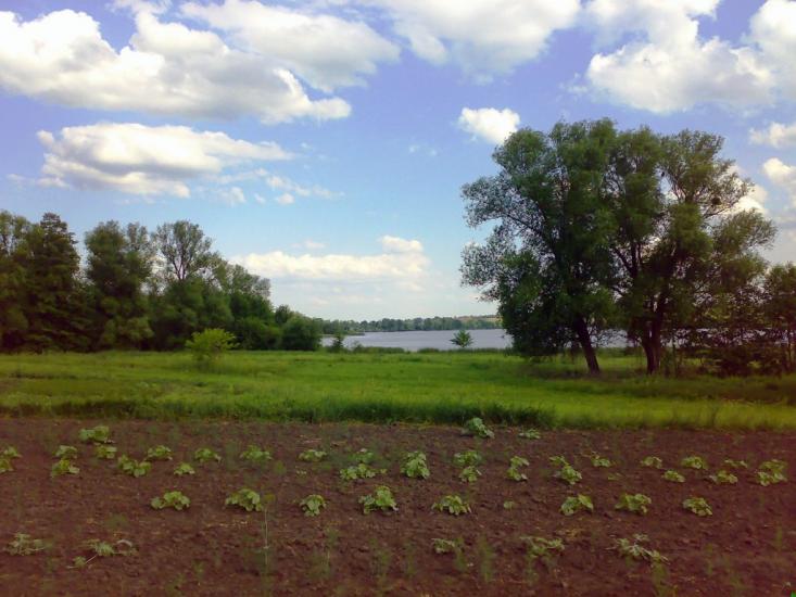 Гопчиця з panoramio.com - Гопчиця