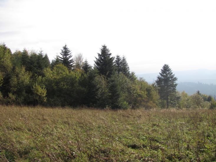 Опака з panoramio.com - Opaka