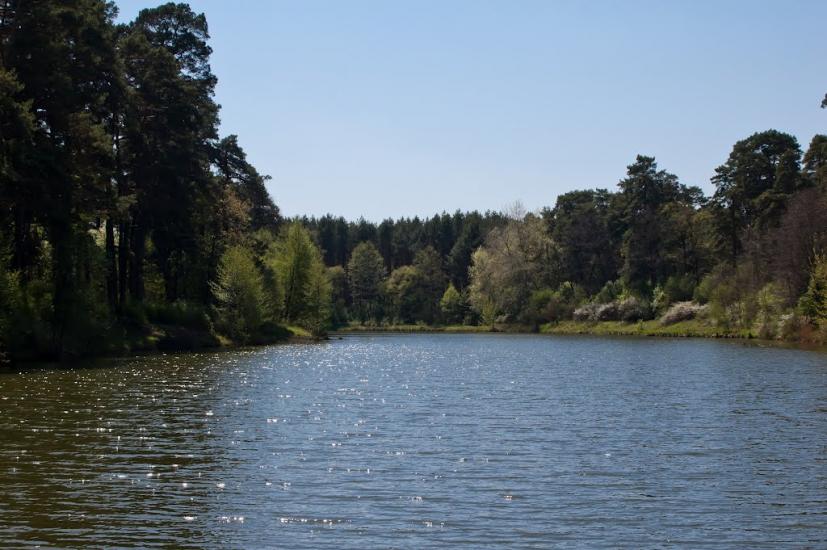 Козлин з panoramio.com - Козлин