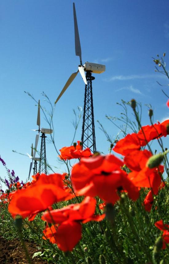 Воробйове з panoramio.com - Воробйове